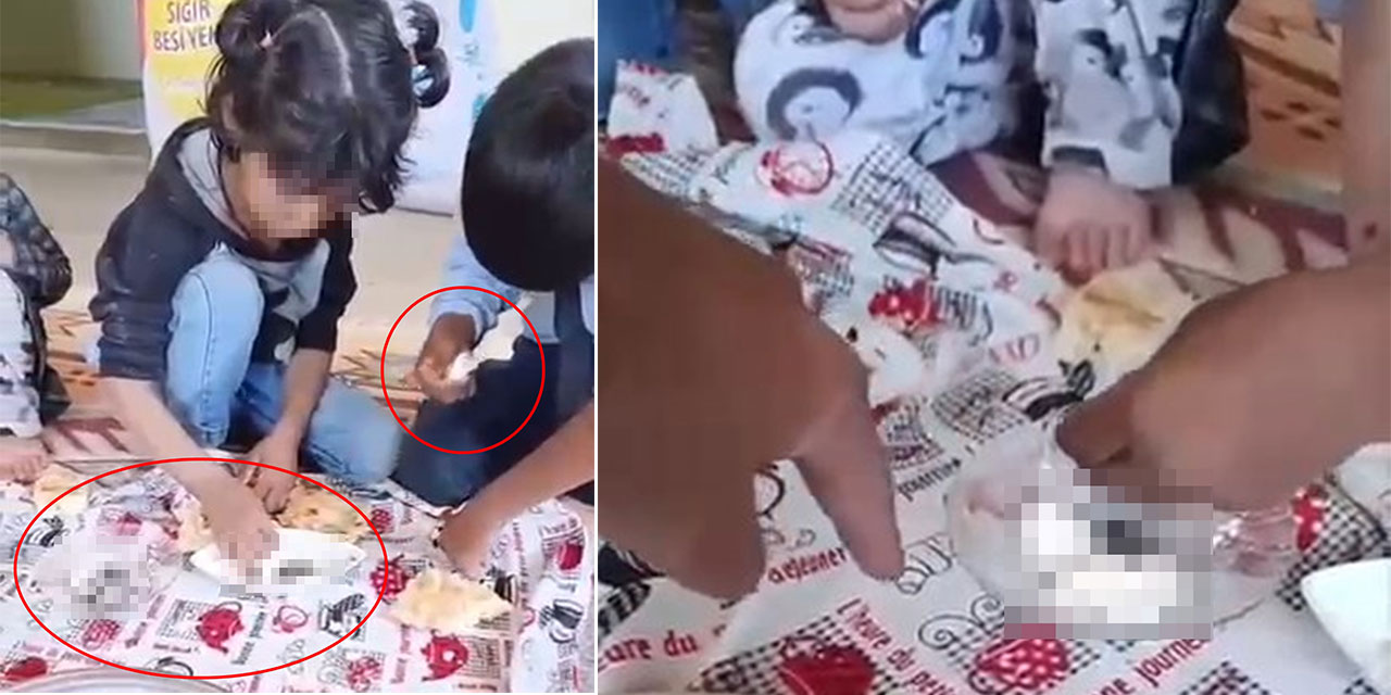 Barodan 4 çocuğa hayvan dışkısı yedirildiği iddiasıyla suç duyurusu