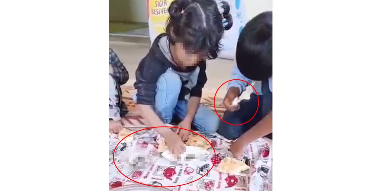 Barodan 4 çocuğa hayvan dışkısı yedirildiği iddiasıyla suç duyurusu