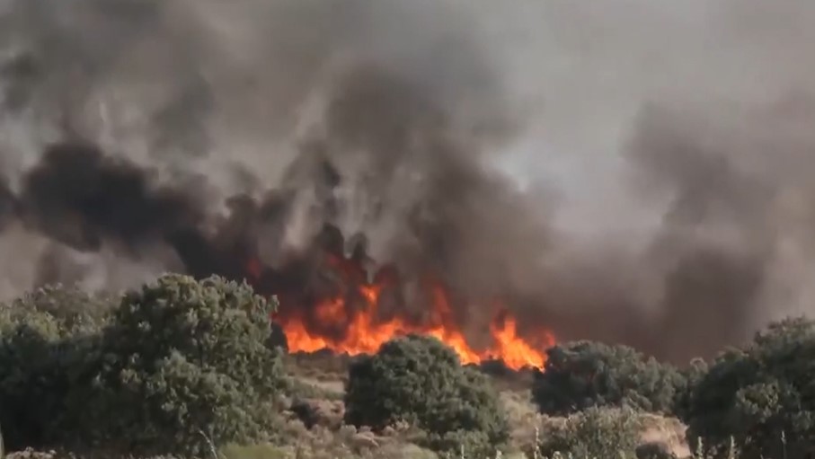 Madrid'de orman yangını