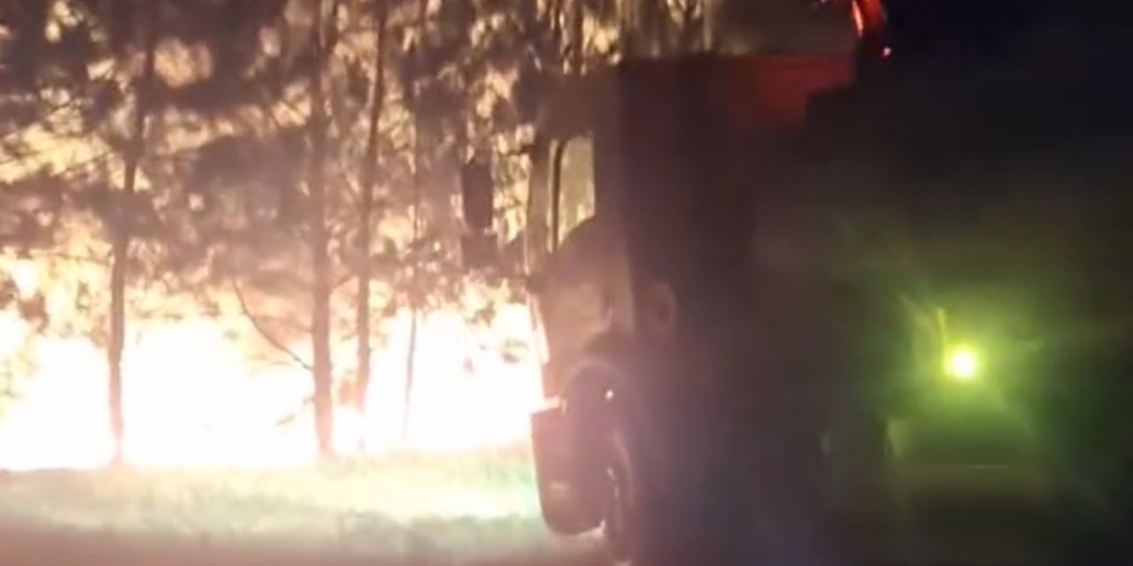 Bolu’da örtü yangını ormana sıçramadan söndürüldü