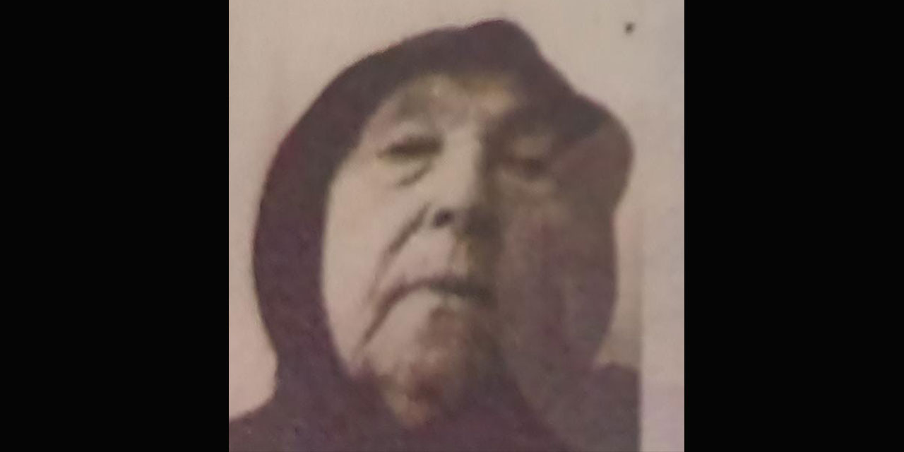 Yaşlı kadın ormanlık alanda kayboldu