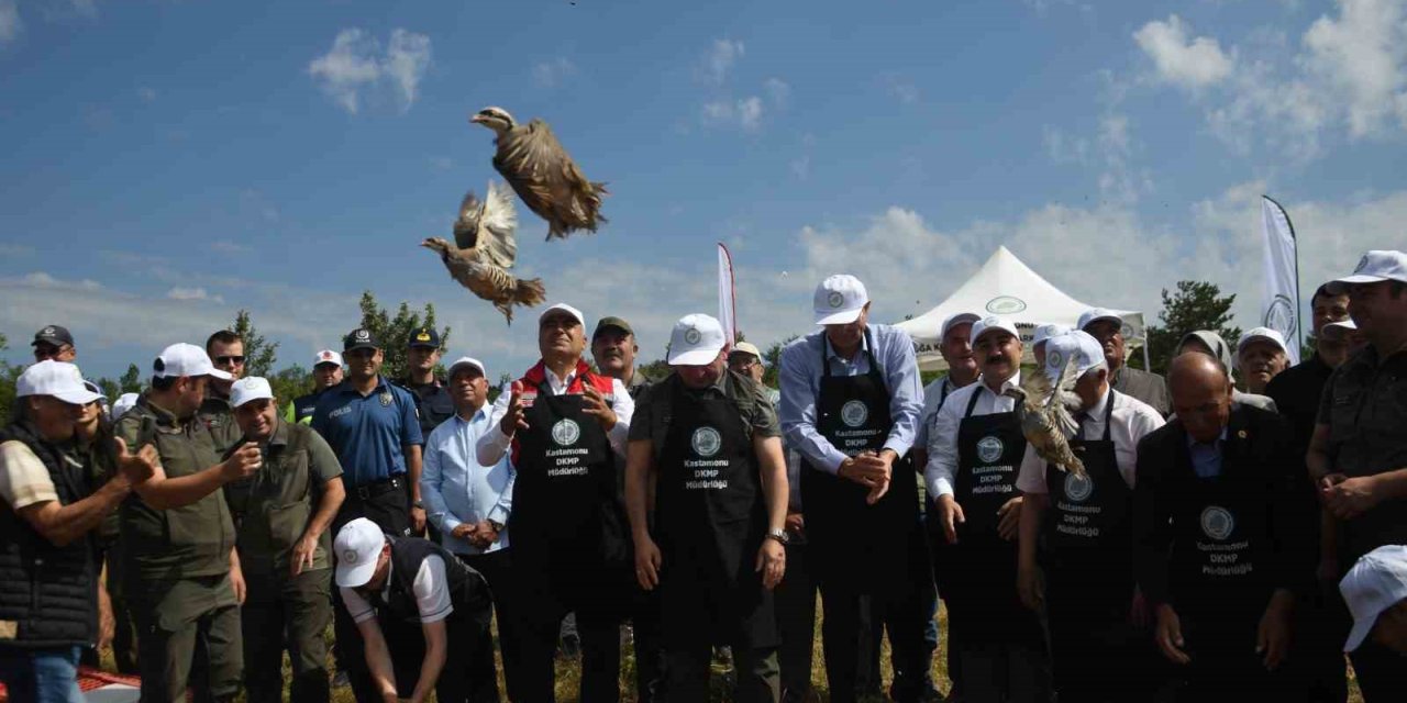 Kastamonu’da doğaya 2 bin 100 kınalı keklik salındı