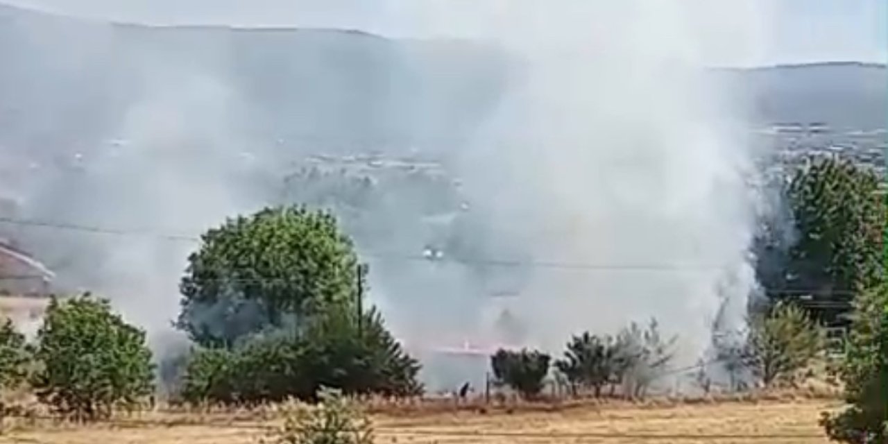 Bolu’da anız yangını korkuttu