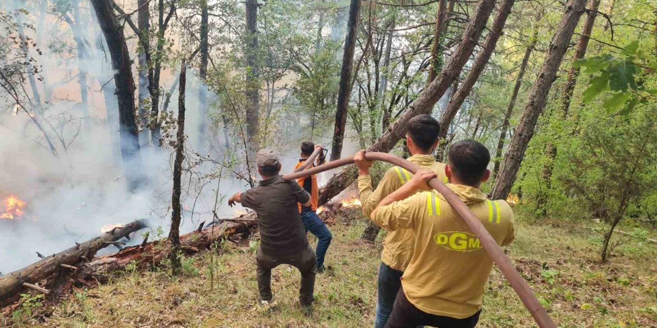 Karabük’teki orman yangınına 205 personel ve 63 araçla müdahale sürüyor