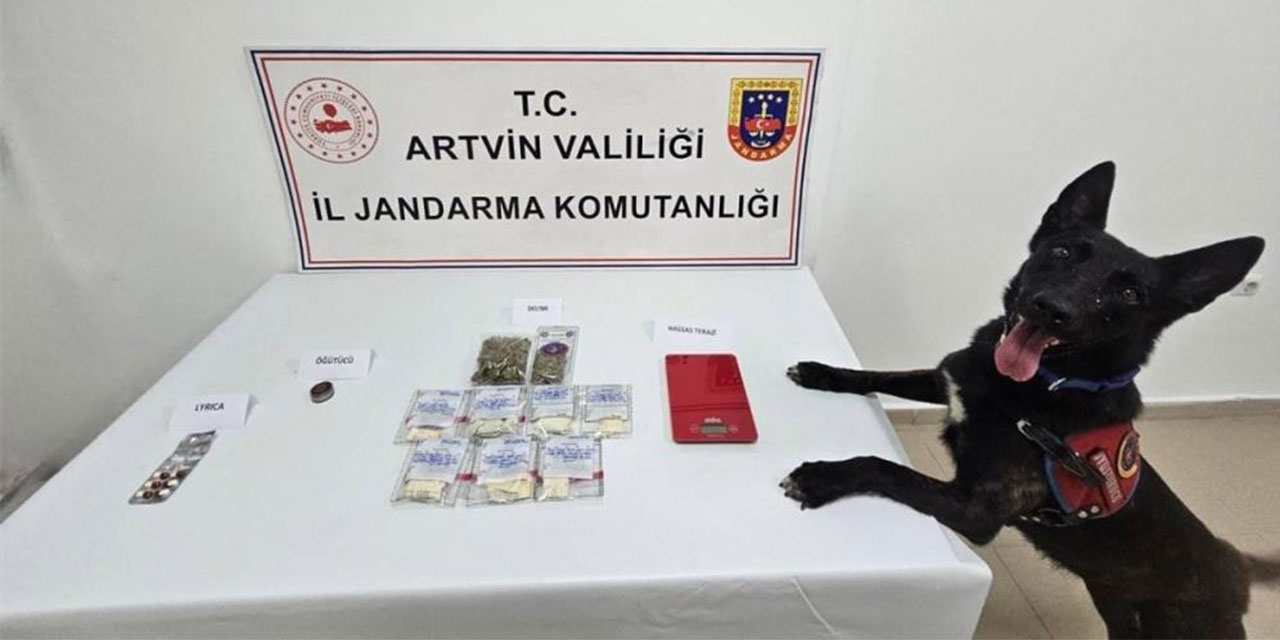 Artvin’de uyuşturucu operasyonu: 2 kişi tutuklandı