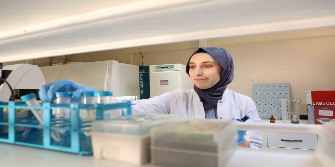 Kanseri önlemede yeni umut: kereviz tohumu