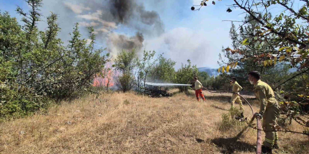 Karabük’teki orman yangınlarını söndürme çalışmaları aralıksız sürüyor