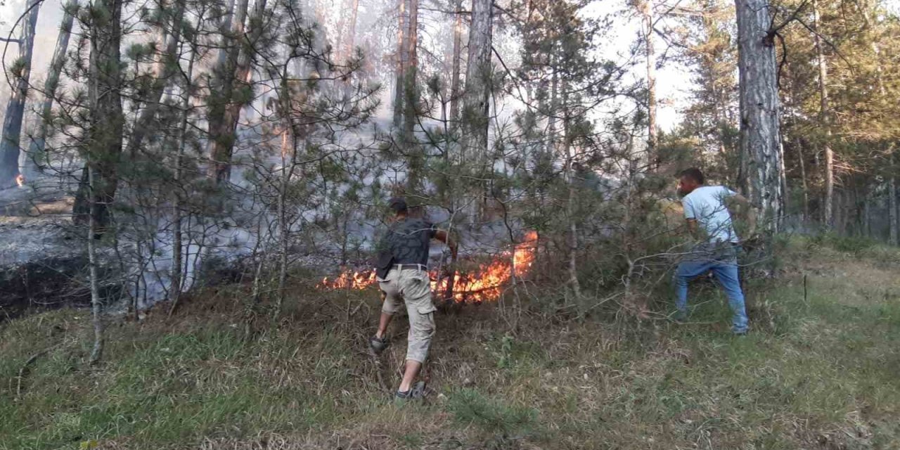 Bolu’da orman yangını başladı