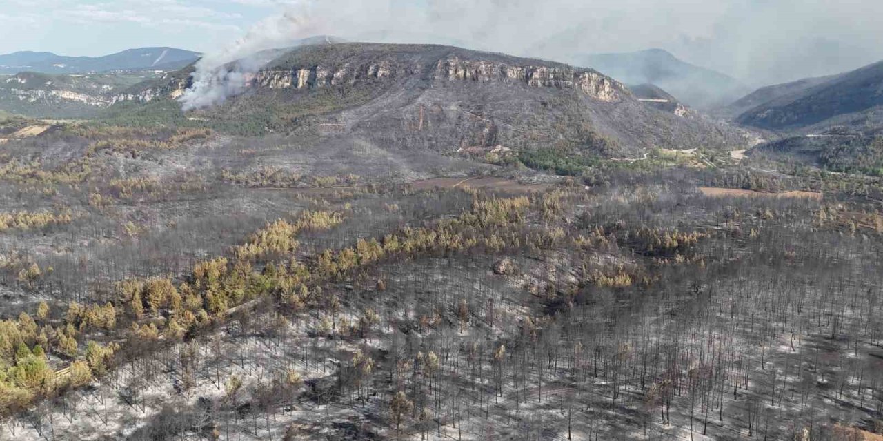 Karabük’te orman yangınlarındaki yürek burkan tahribat havadan görüntülendi