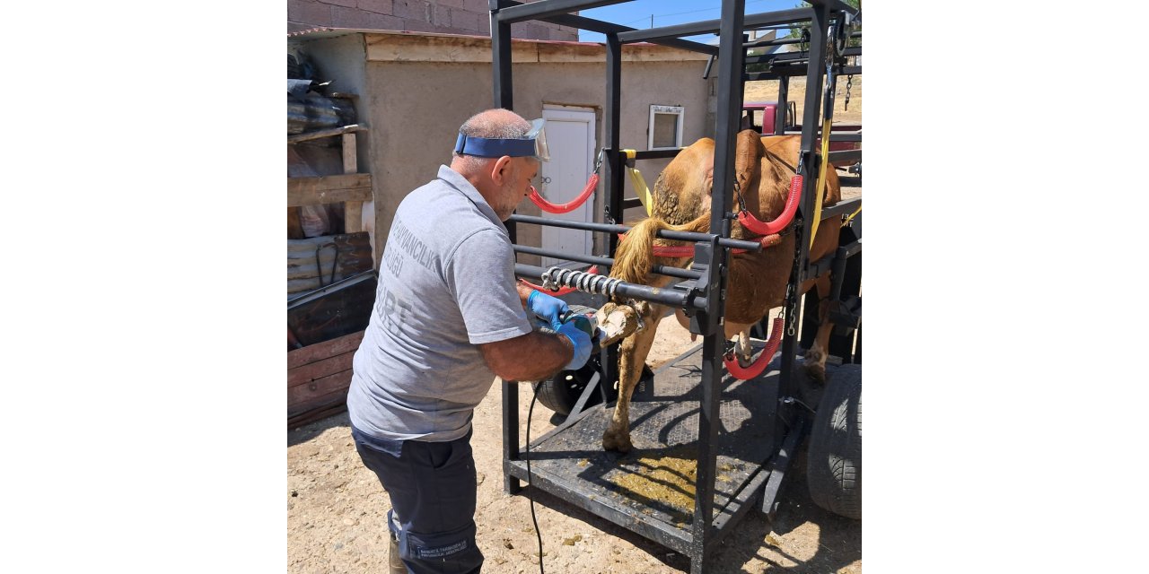 Aydıntepe’de Travay Projesi Kapsamında İlk Saha Uygulaması Yapıldı