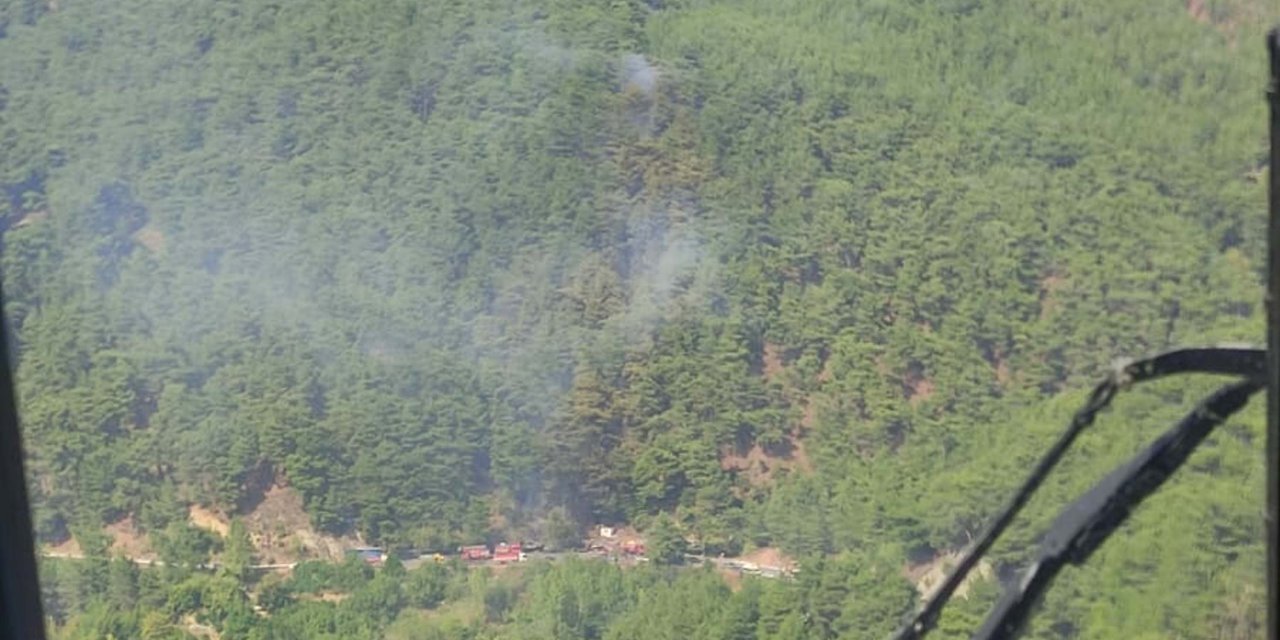 Çanakkale'de Orman Yangını (2)