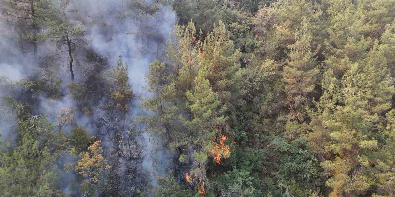Karabük’te orman yangını 69 saattir sürüyor