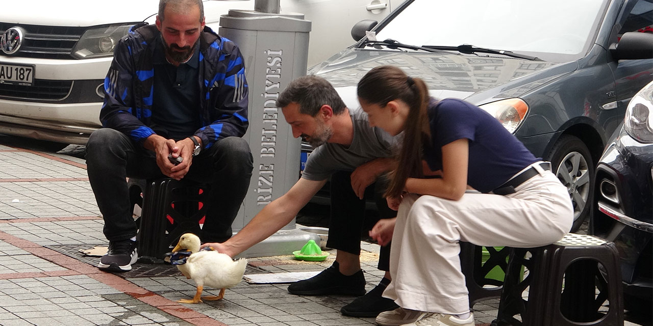 Rize'nin caddelerinin maskotu oldu