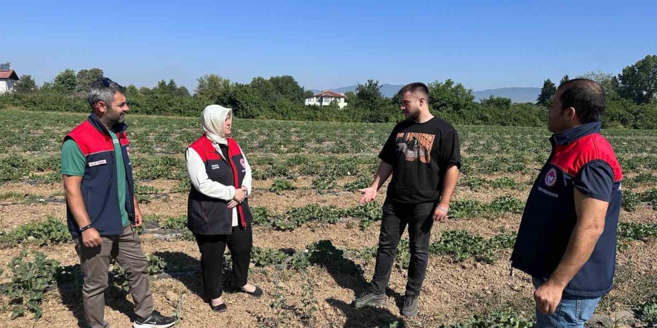 Genç çiftçiden örnek tarım uygulaması