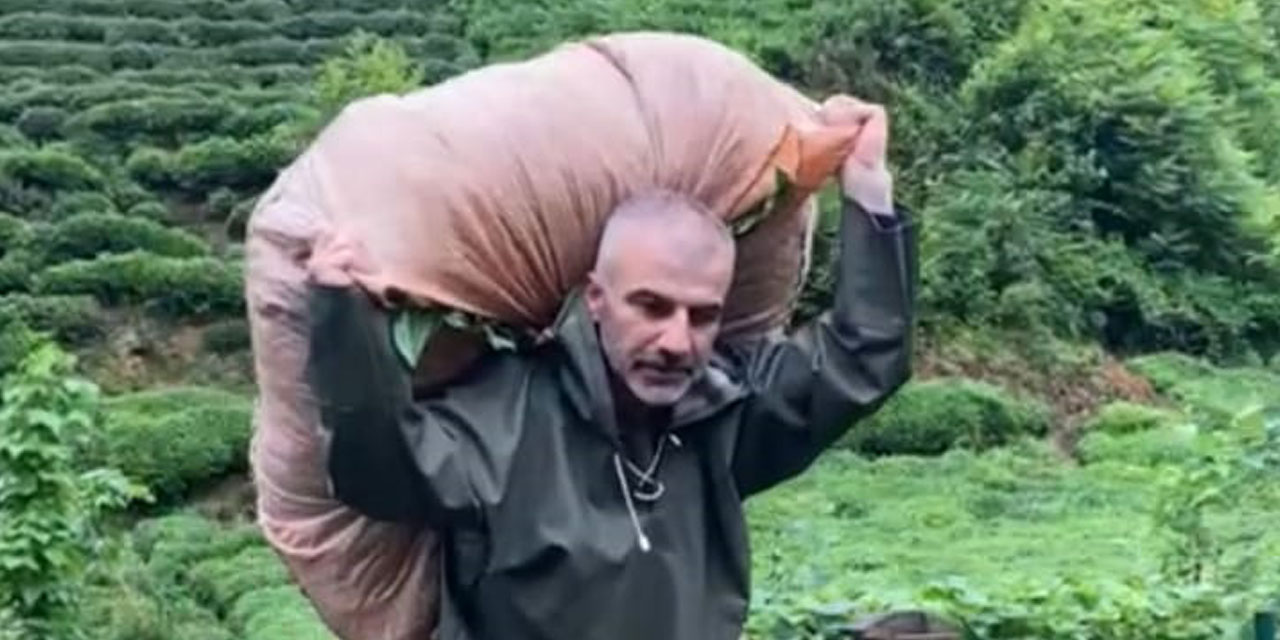 Özçelik: Kazanan Lobiler, Kaybeden Üretici