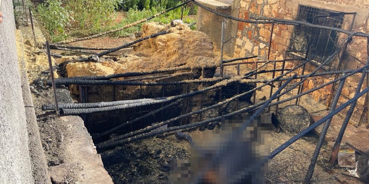 Yangın Çıkan Ahırdaki Hayvanları Kurtarmaya Çalışırken Ağır Yaralandı