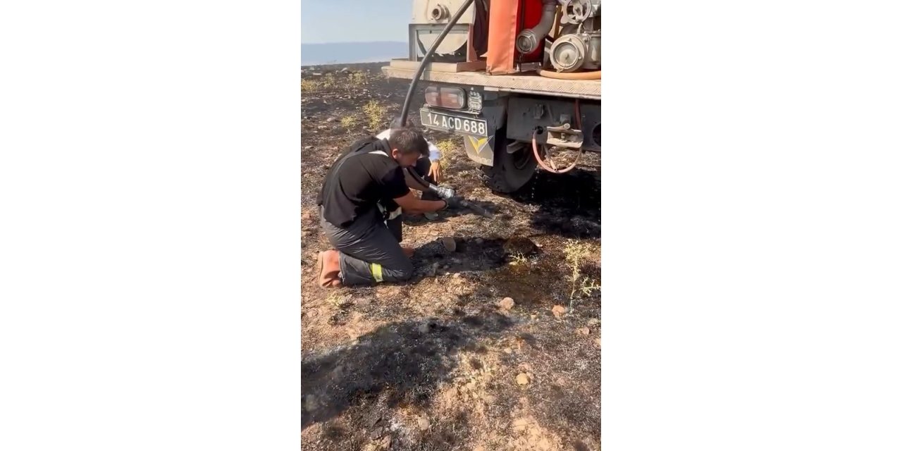 Yangından etkilenen kirpiye elleriyle su verdiler