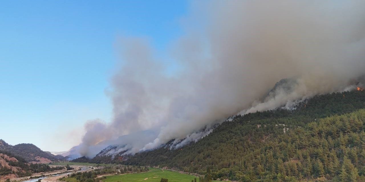 Türkiye orman yangınlarıyla mücadelede alarmda: Risk altındaki alan 12,5 milyon hektar