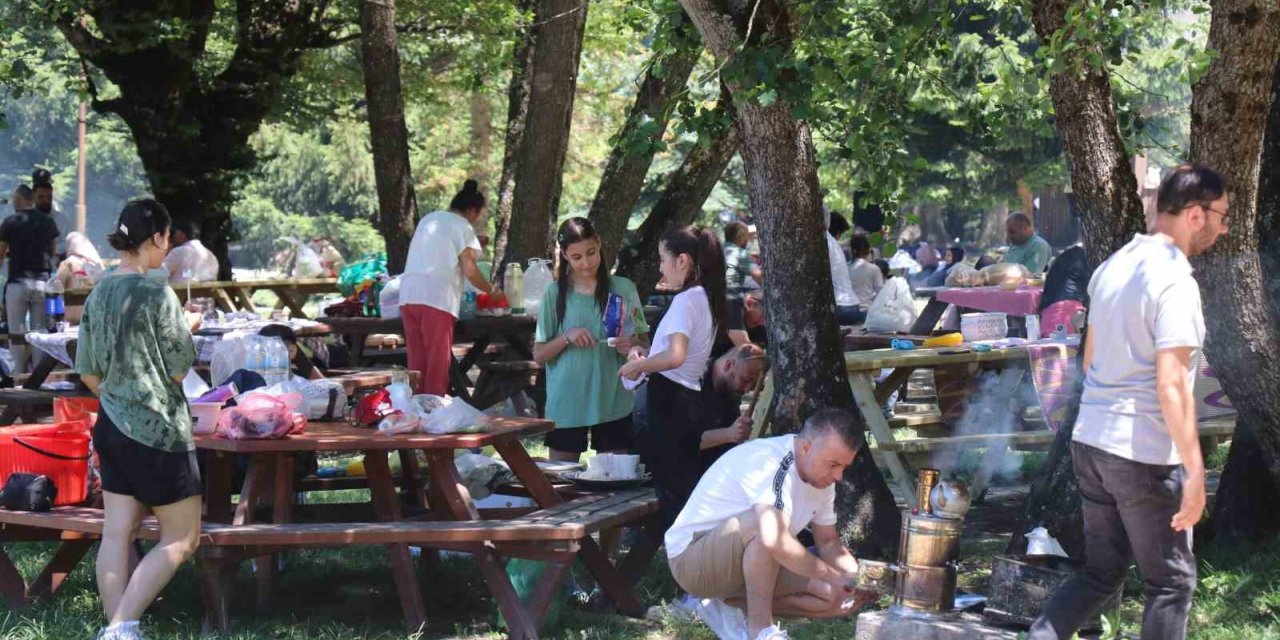 Bolu’da ‘ateşli piknik’ tamamen yasaklandı
