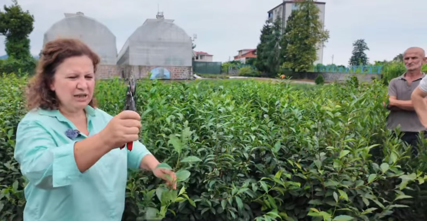 RTEÜ'den “Çayda Uygulamalı Çelikle Fidan Üretimi” Eğitimi