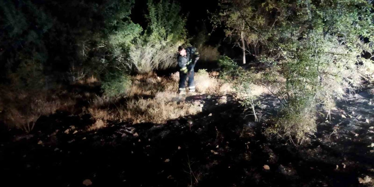 Ekipler seferber oldu, örtü yangını ormana sıçramadan söndürüldü