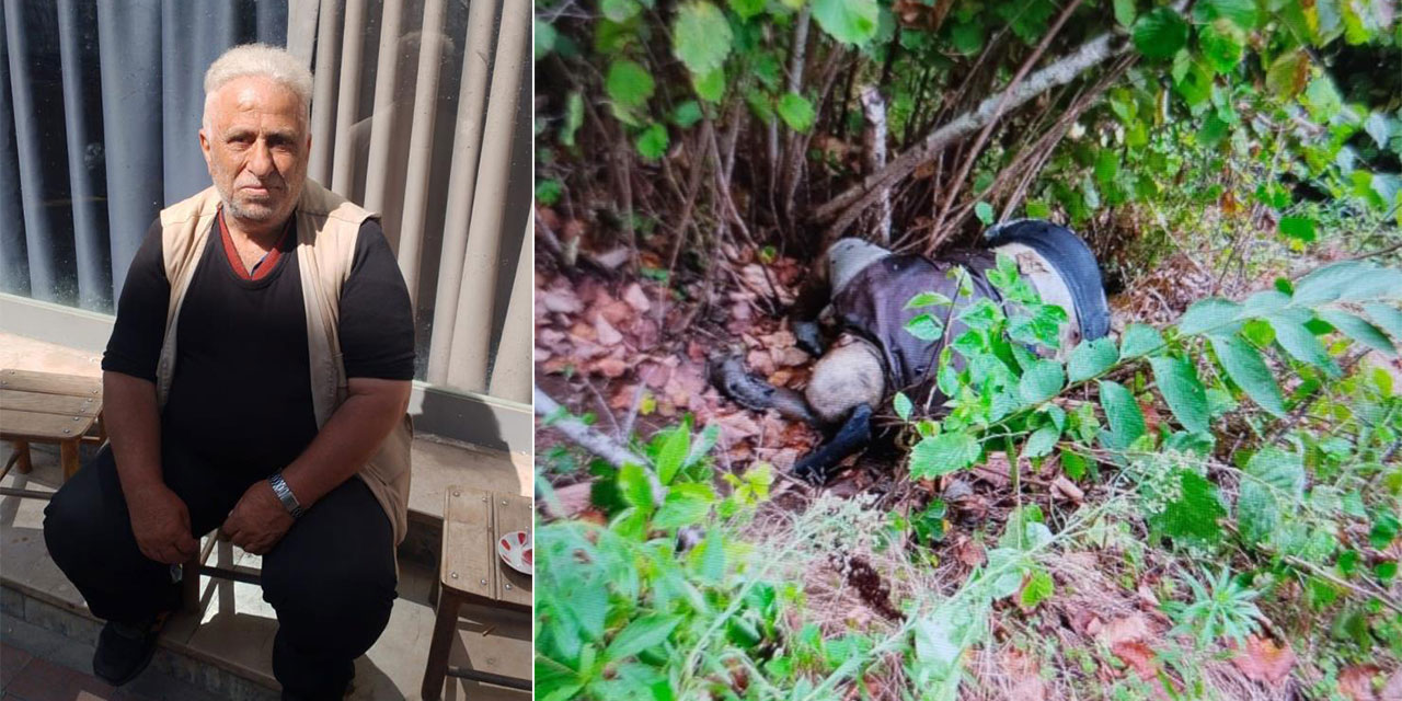 Trabzon’da 10 gün önce kaybolan şahsın cansız bedeni bulundu