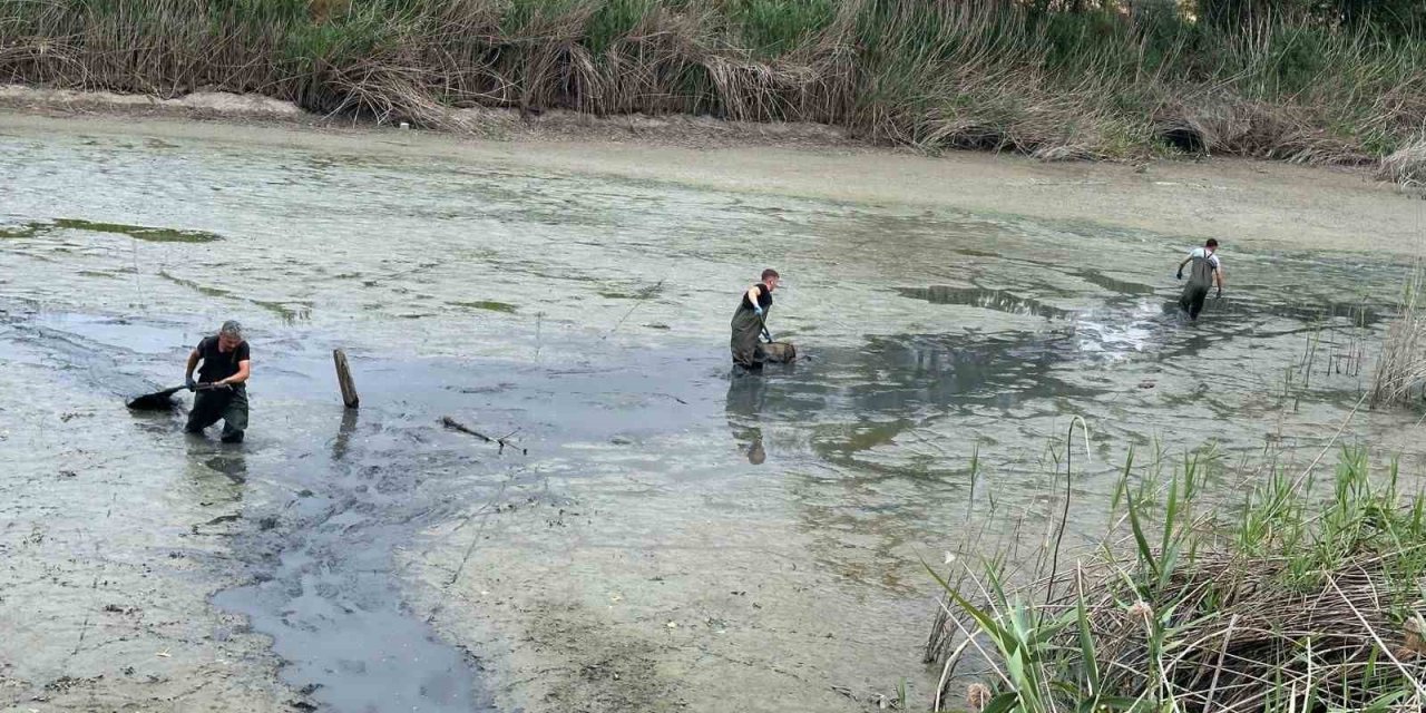 Bolu’da, kuruyan gölette mahsur kalan balıklar kurtarıldı