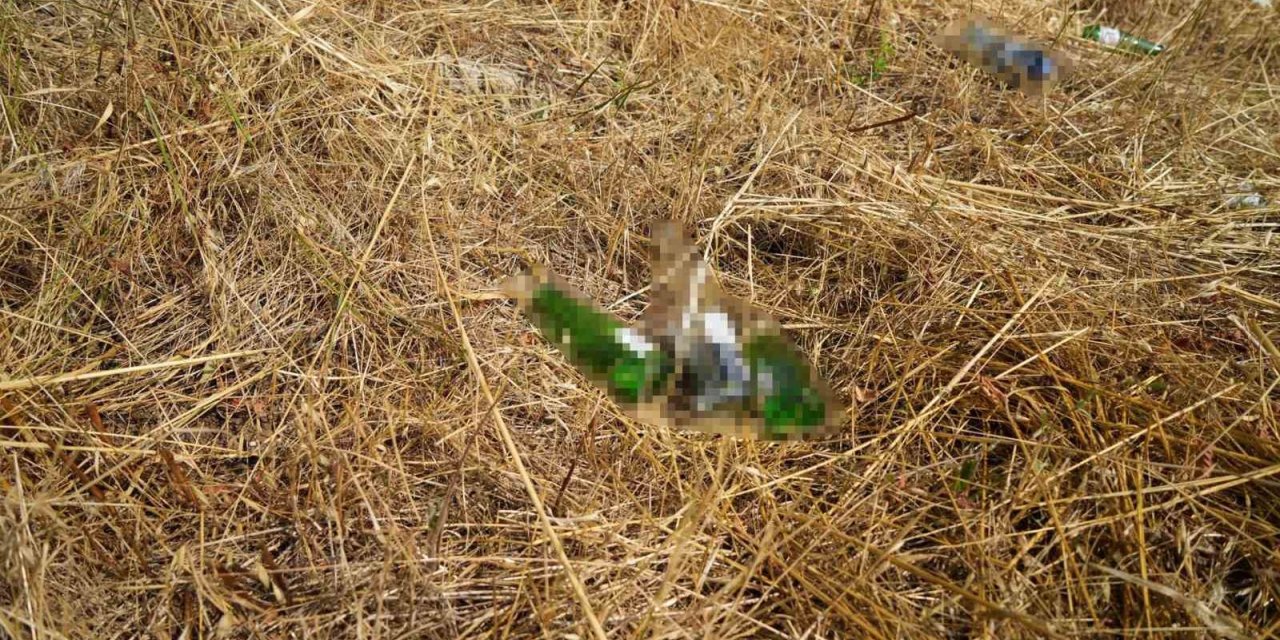 Bolu’da anız yakana cezalar arttı: "Yanan alanlar parayla ölçülmez"