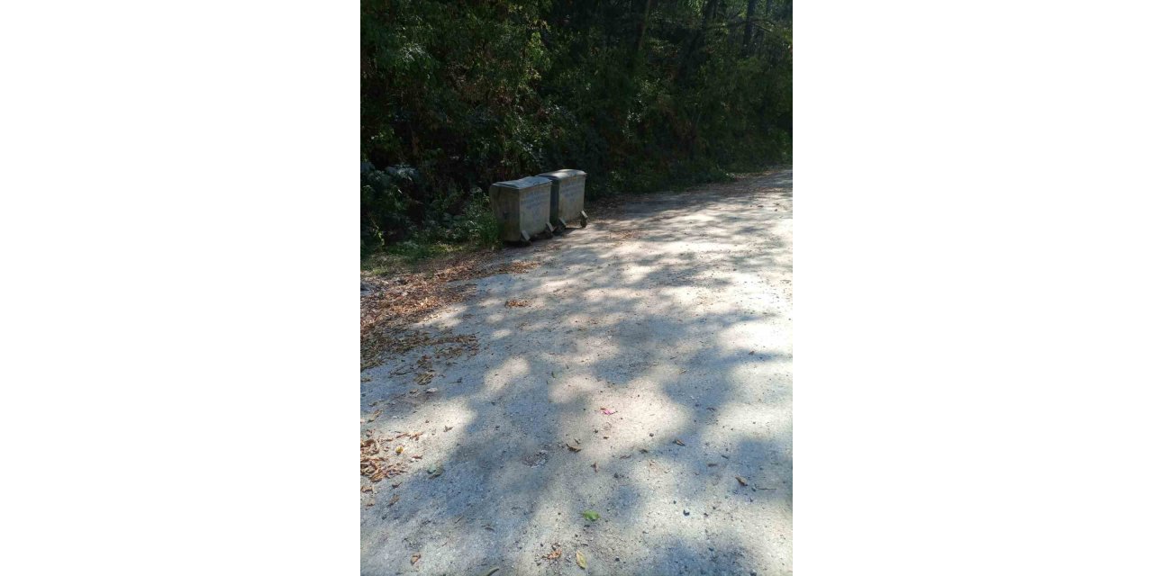 Şeker Kanyonu’ndaki çevre kirliliği giderildi