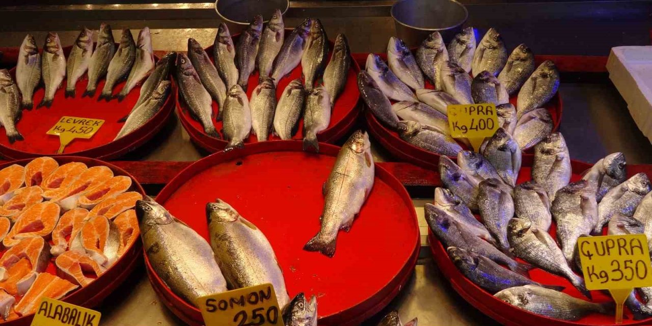 Balıkçıların gözü bu sezon hamside