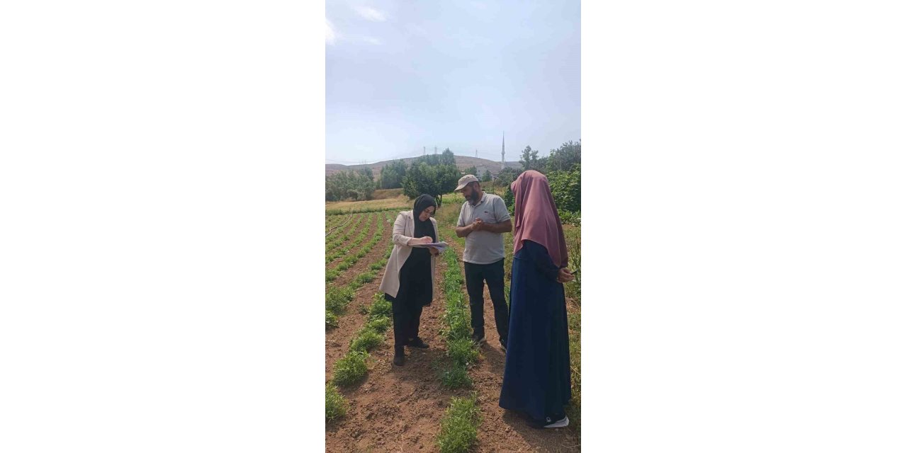 ‘Bayburt Tarhunu’ coğrafi işaret tescilinin ardından ilk kez denetlendi