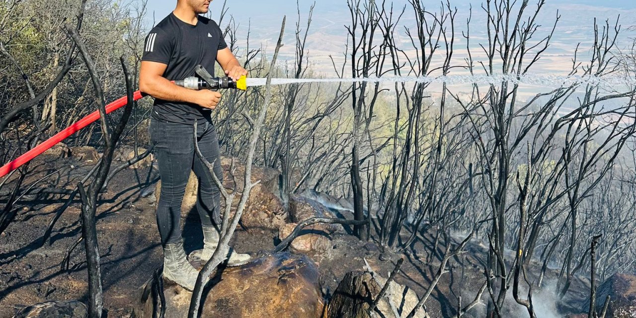 Gaziantep’te Orman Yangını (2)