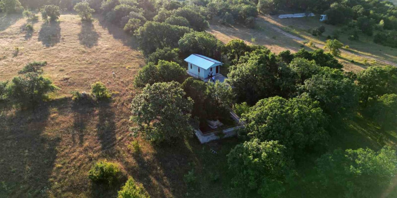 Ormanlık alandaki Horasan şehidi Genç Abdal türbesi manevi atmosferiyle mest ediyor