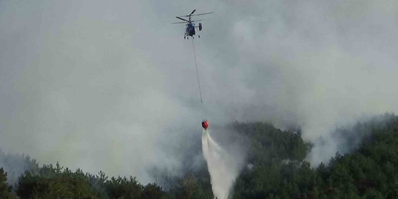 Bolu’daki orman yangını kısmen kontrol altında: 2 gözaltı
