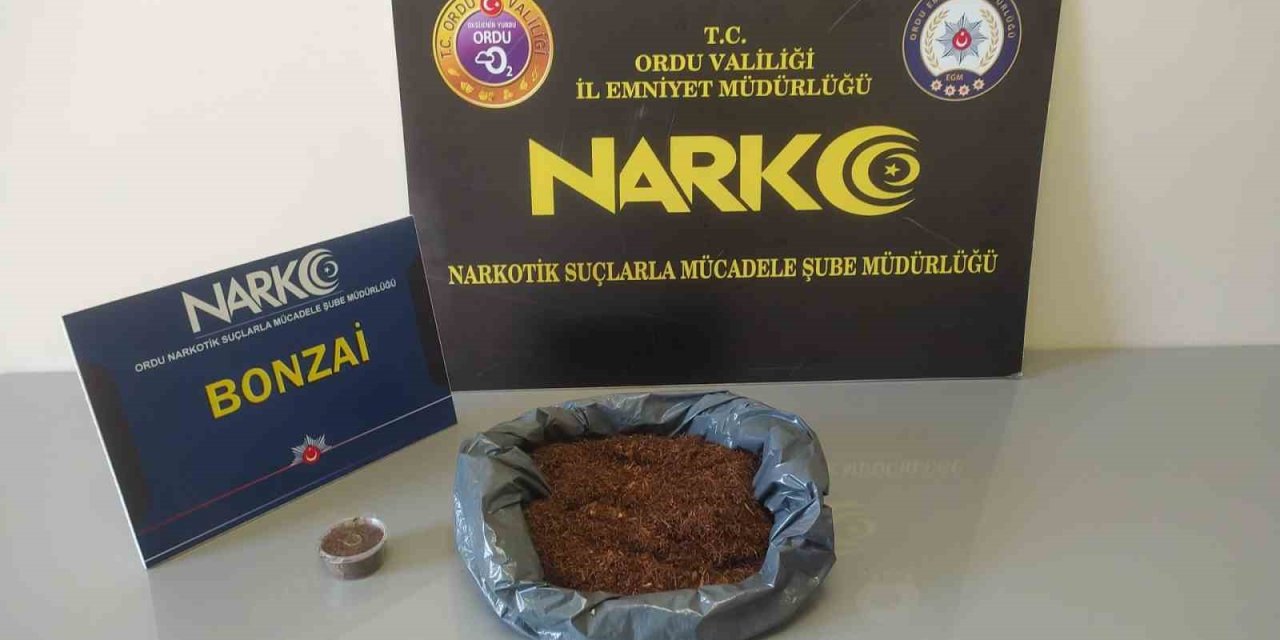 Ordu’da uyuşturucu operasyonlarında 2 tutuklama