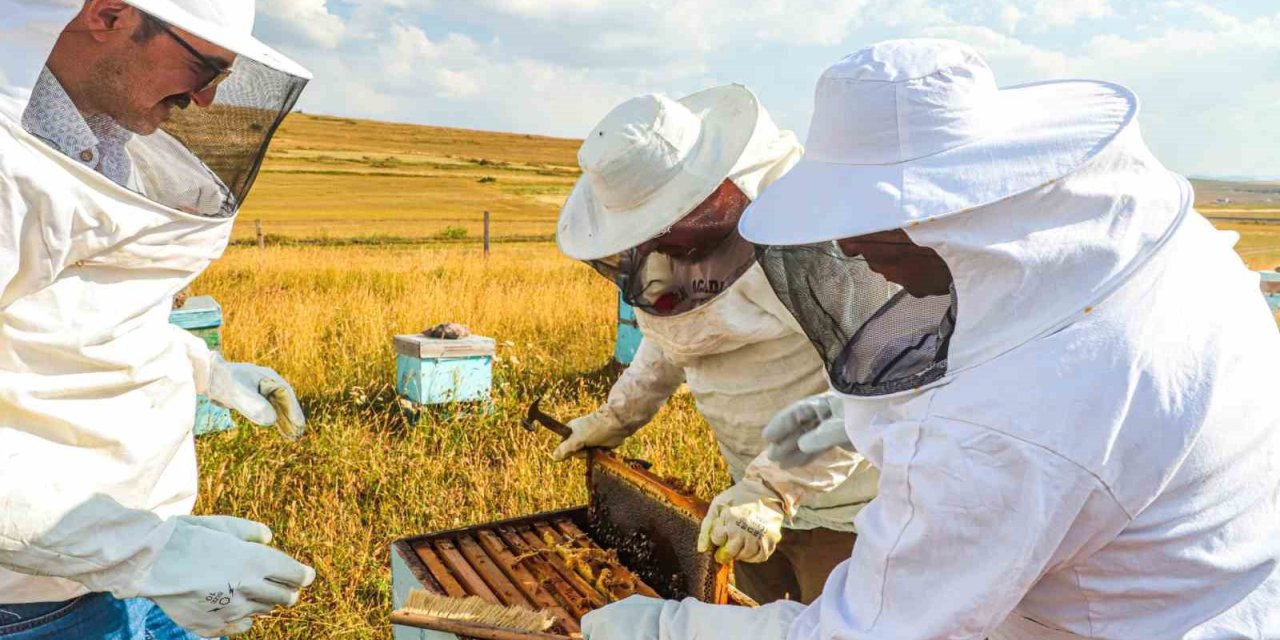 Bayburt’ta bal hasadı sezonu başladı