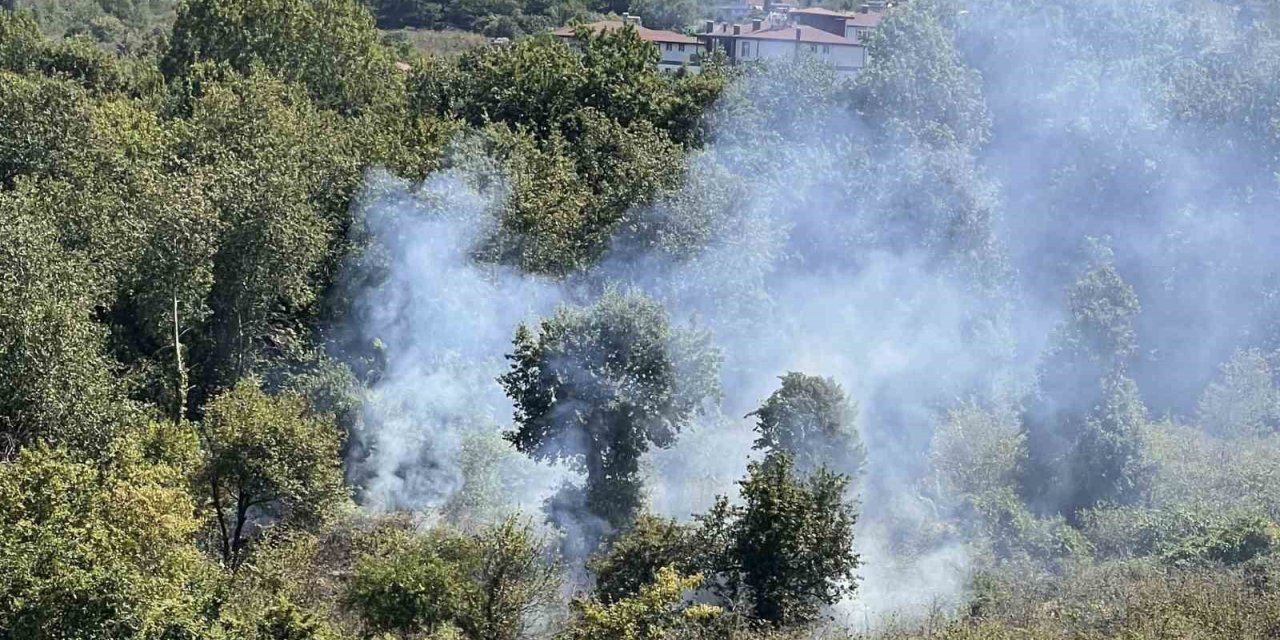 Ordu’da bahçe temizliği yangına yol açtı