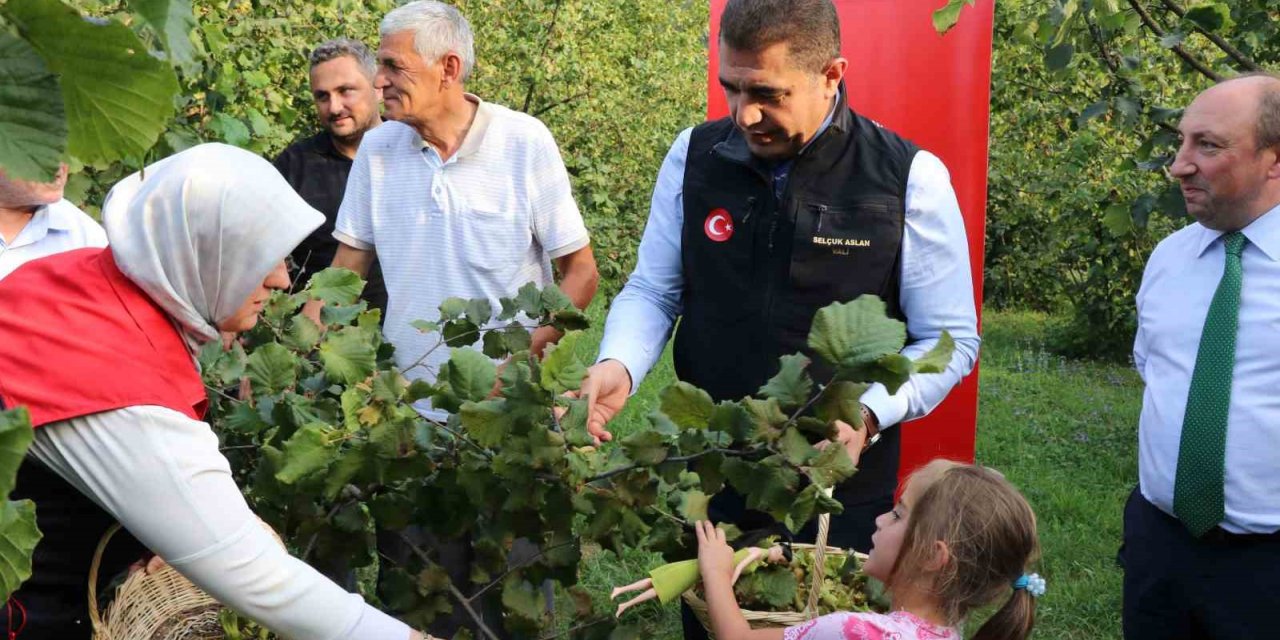Vali Aslan, önce horon oynadı ardından hasat sezonunu açtı