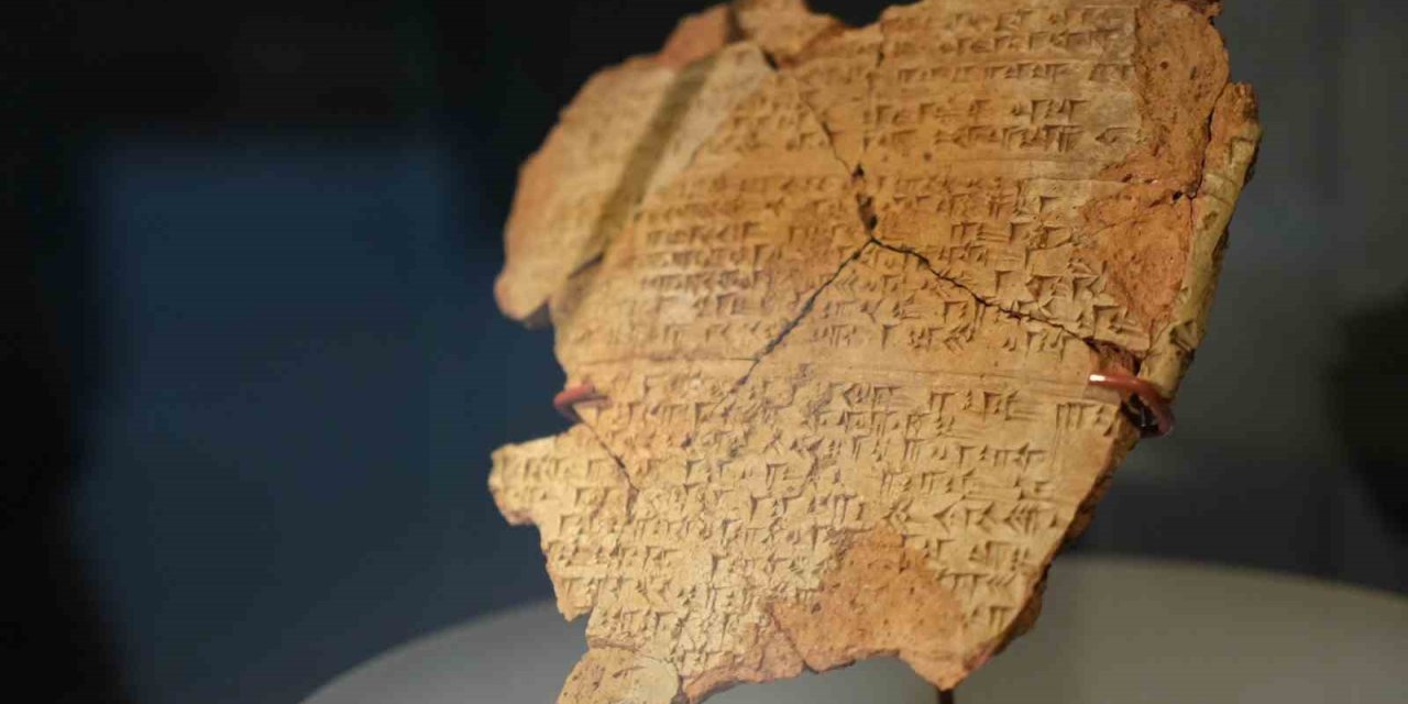 3 bin yıllık fındığın bulunduğu kutsal şehirdeki kazılar 20. yıla ulaştı