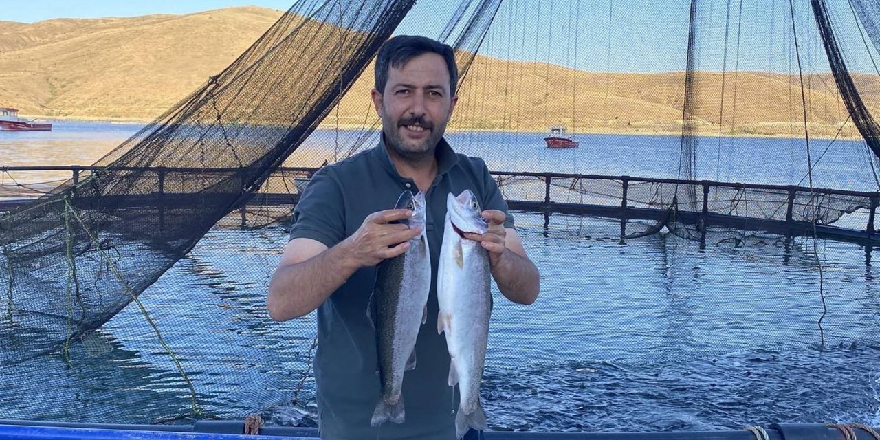 Demirözü Göletinde yetişen Alabalıklar Somon oldu