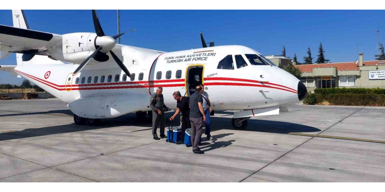 Kazada ölen gencin karaciğeri 12 yaşındaki çocuğa umut oldu