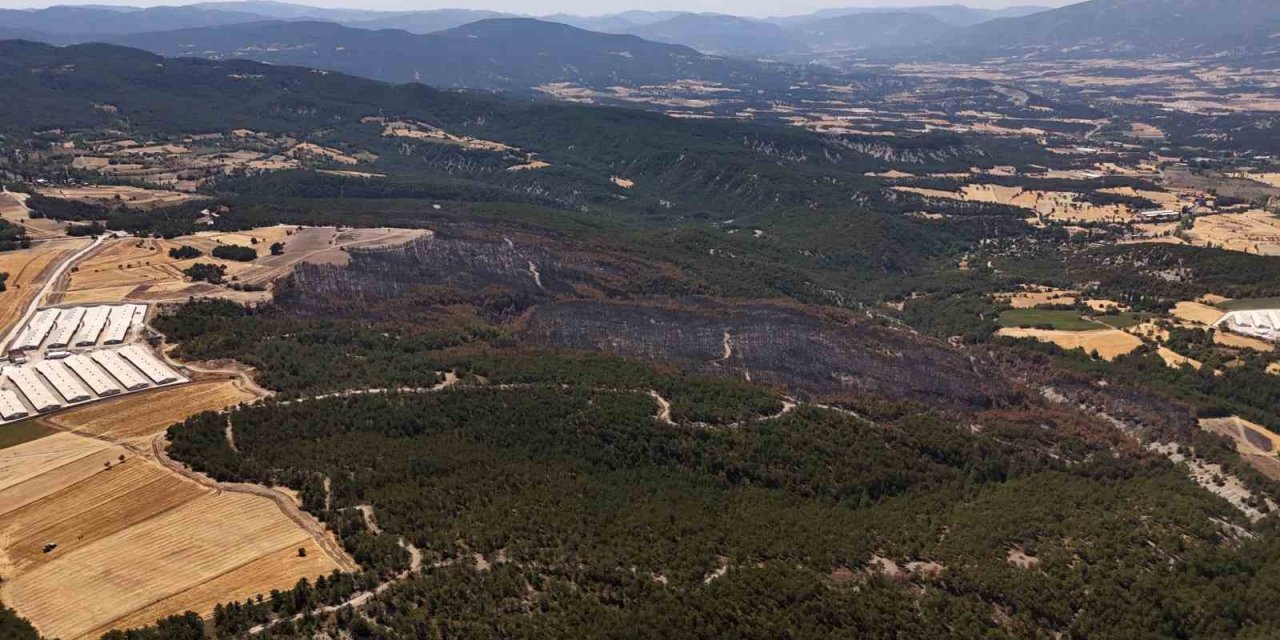 Mudurnu’daki orman yangınında 66 hektar alan kül oldu