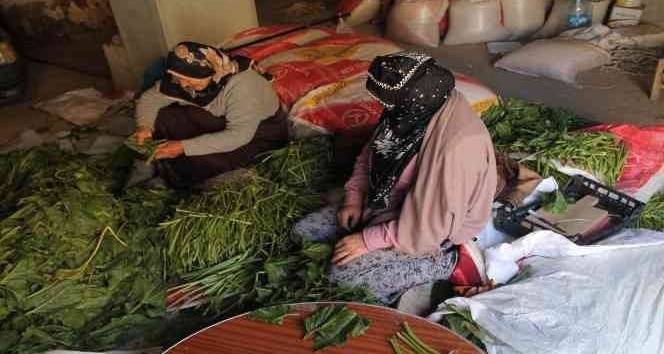 Bayburtlu Kadınların Kışlık Konserve, Turşu Hazırlıkları Başladı