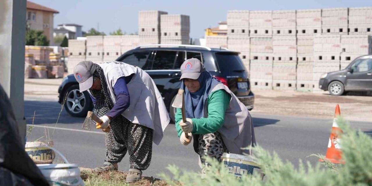 Refüjlerde bakım çalışmaları sürüyor