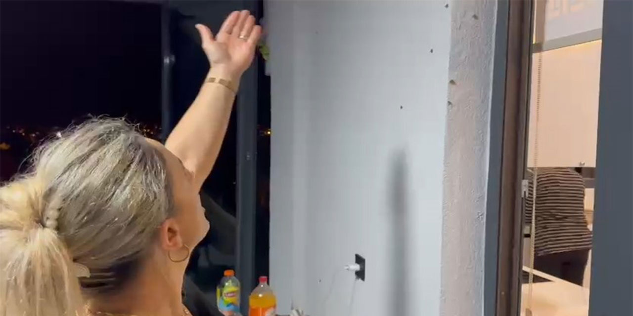 Rize’de bahçelerden sonra evlerde "vampir kelebek" istilası