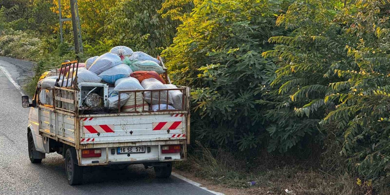 Zonguldak’ta fındık hasında köylüler fındık toplayıcıların gürültüsünden şikayetçi