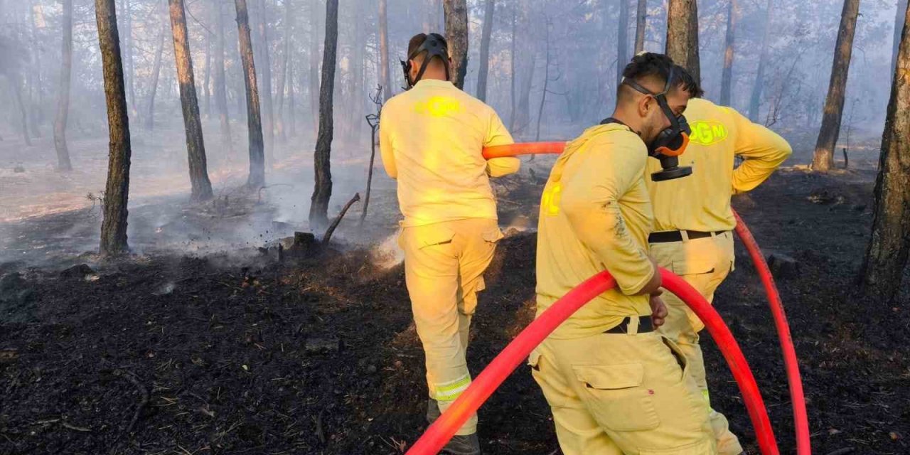 Bolu’da küle dönen 20 hektar ormanda, soğutma çalışması sürüyor