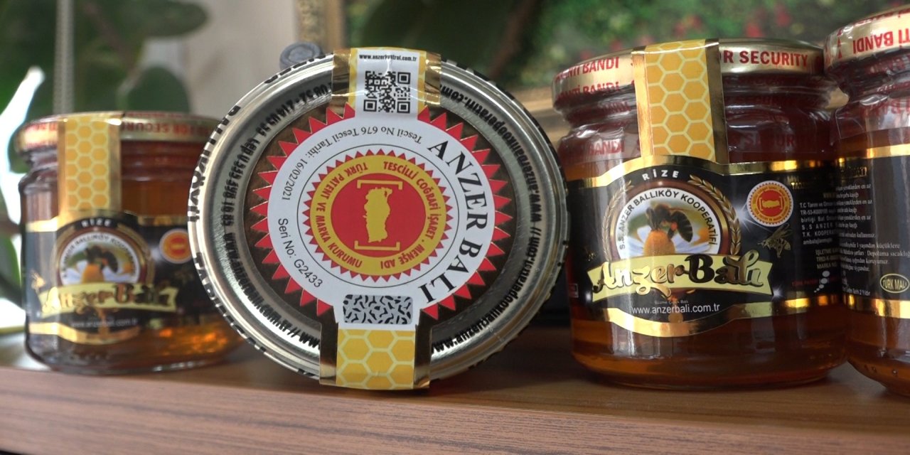 Rize'de Anzer Balı'nda son 50 yılın en verimli hasadı gerçekleşti