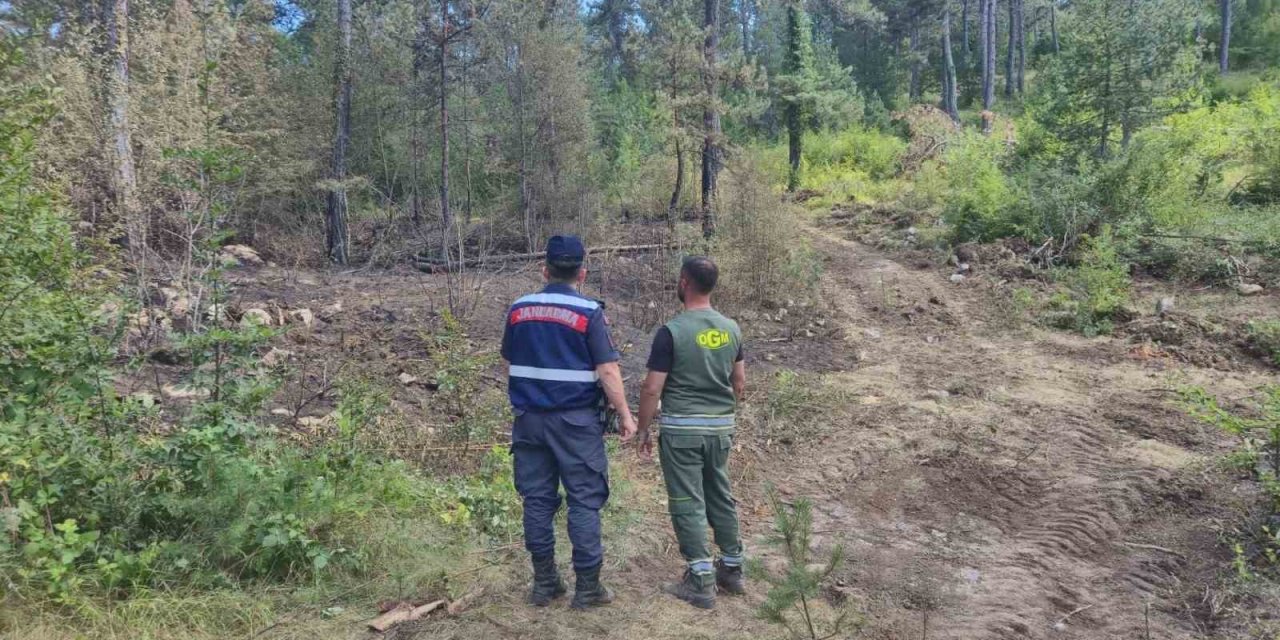 Sinop’ta jandarma orman yangınlarına karşı teyakkuzda