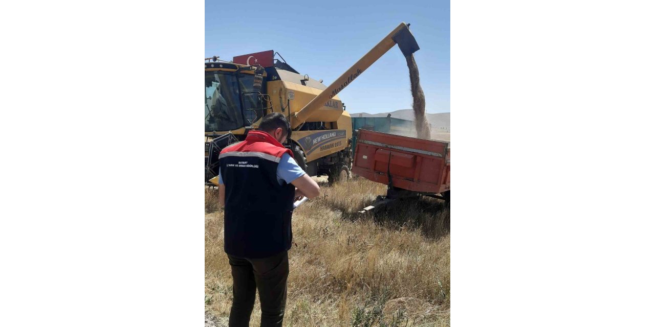 Demirözü’nde biçerdöver kontrolleri sürüyor